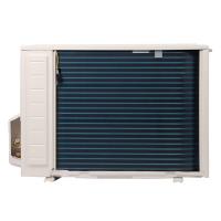 Royal Thermo Fenix DC RTFI-24HN8/silver